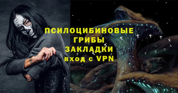 гидра Россошь